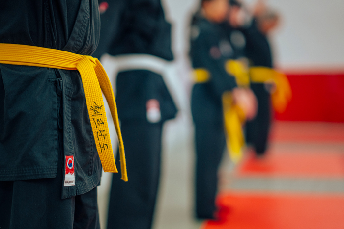 Hapkido